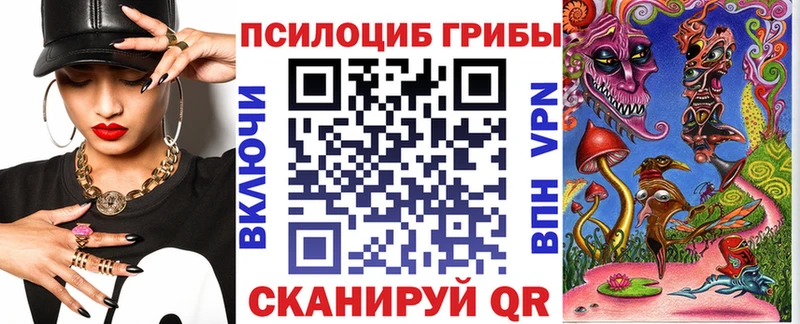 Псилоцибиновые грибы Psilocybine cubensis  Теберда 